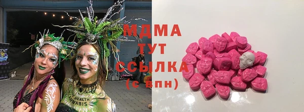 гидра Гусь-Хрустальный