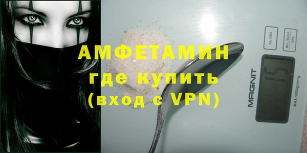 гидра Гусь-Хрустальный