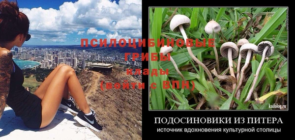 сатива Гусиноозёрск