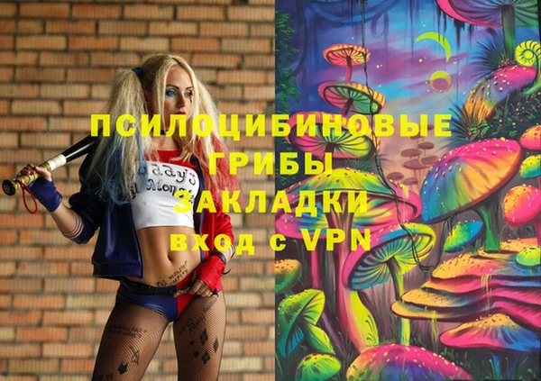 гашик Дмитровск