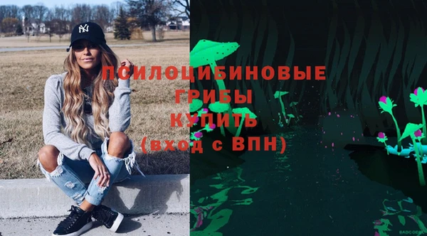 герыч Дмитриев