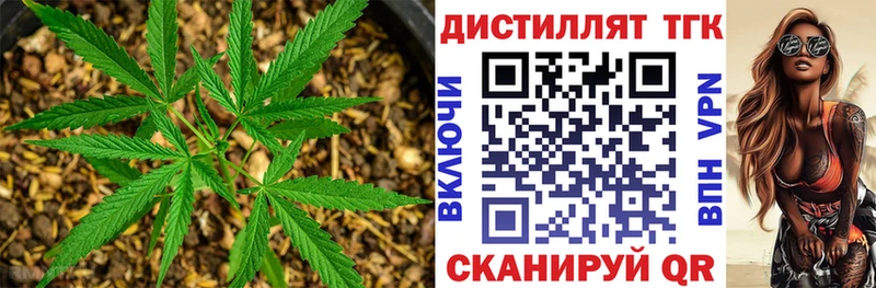 Купить закладки  Шацк  Дистиллят ТГК гашишное масло 