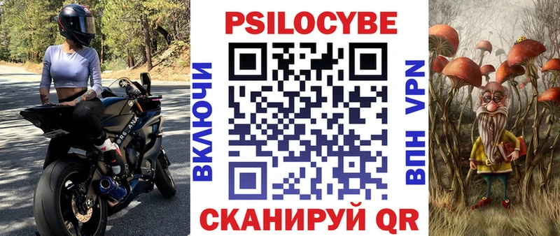 Купить где  Шацк  Псилоцибиновые грибы ЛСД 